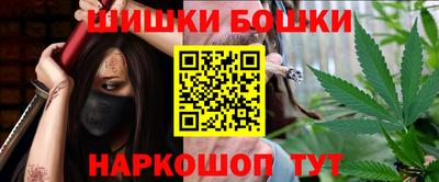 индика Обнинск