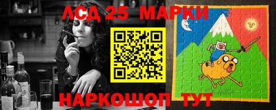 индика Обь
