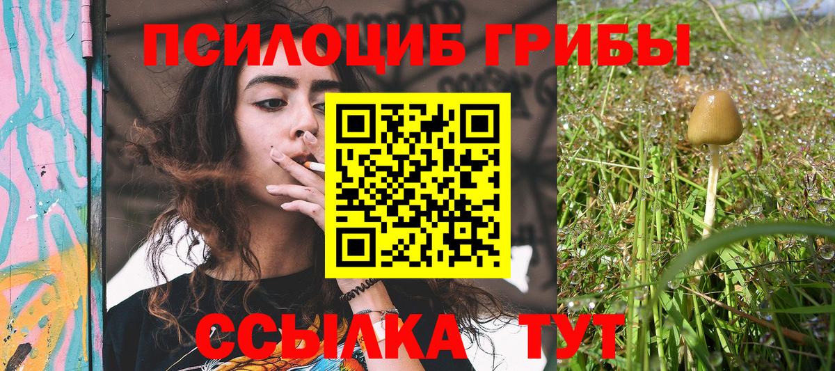 Псилоцибиновые грибы MAGIC MUSHROOMS Новокуйбышевск
