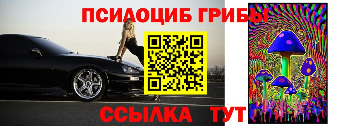Галлюциногенные грибы Psilocybine cubensis  Псилоцибиновые грибы Psilocybe  Вход с VPN  Новокуйбышевск 
